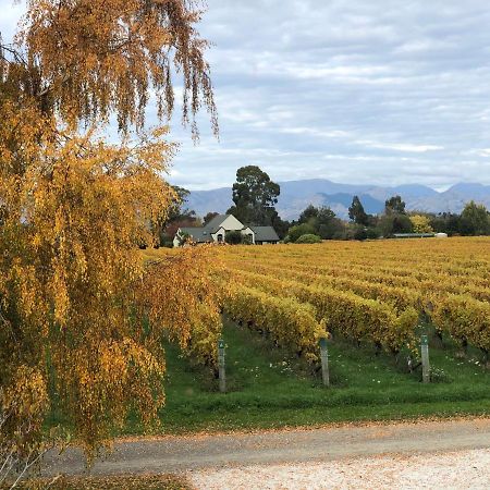 Vineyard Cottage In Blenheim On The Golden Mile Exterior photo